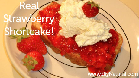 Strawberry Shortcake Recipe 3