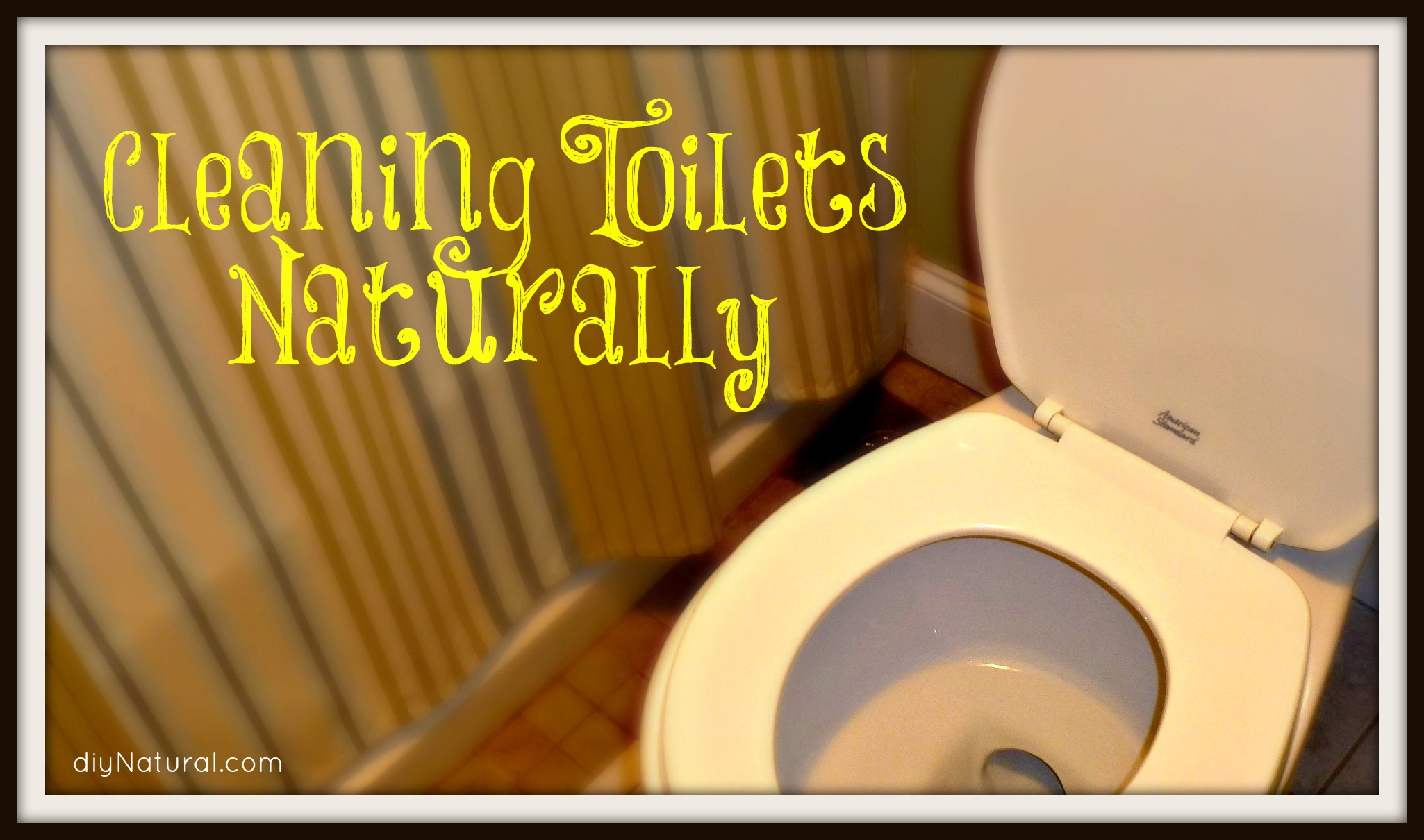 Easy Natural Toilet Cleaner Recipes