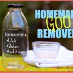 Adhesive Remover Homemade Goo Gone
