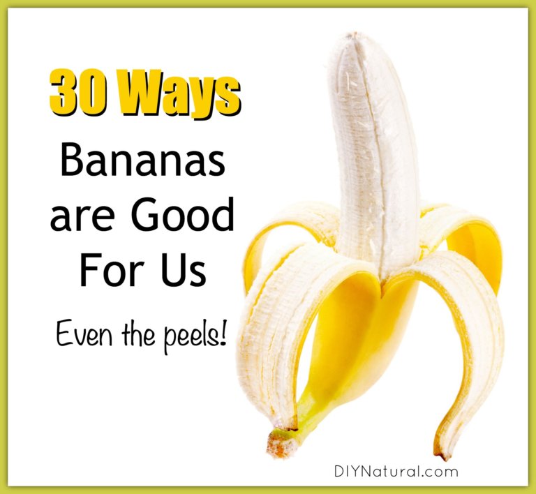 Are Bananas Good For You? Yes! 30 Benefits of Bananas