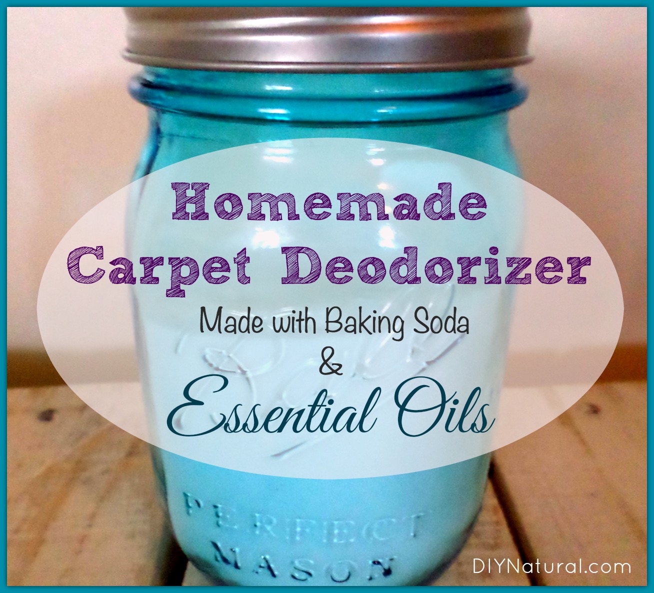 Homemade Carpet Deodorizer {So Fast & Easy!} My Frugal Adventures