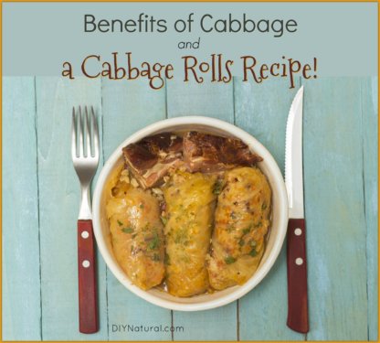 Cabbage Rolls Recipe Benefits