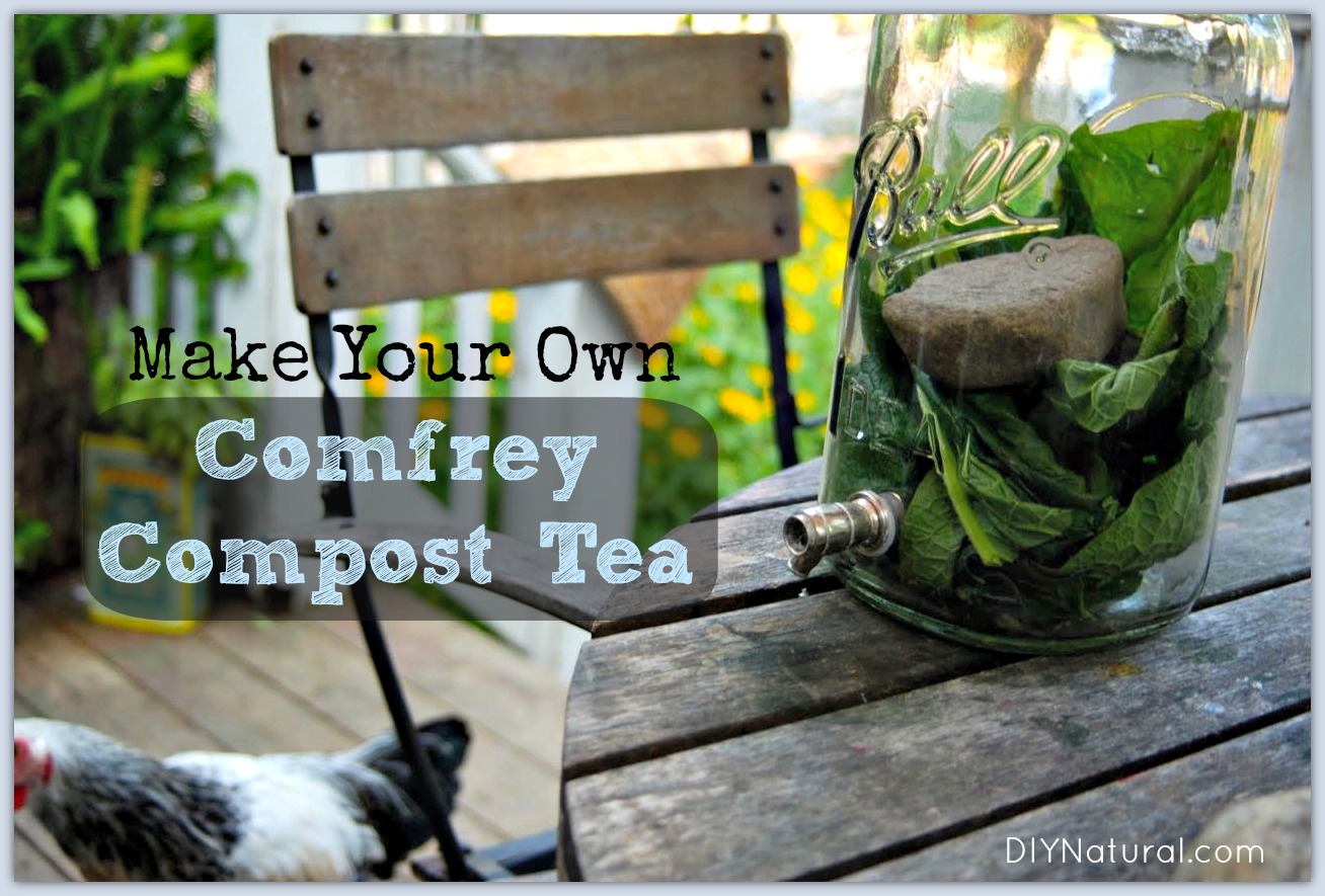 adding used tea bags to compost and soil for conditioning in a garden in  the uk Stock Photo - Alamy