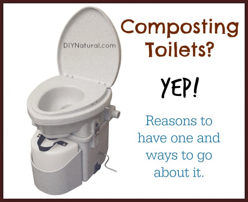 View of Composting Toilet - The How and Why of Doing It Yourself