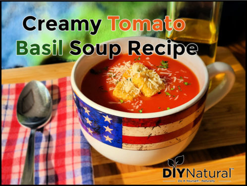 Creamy Tomato Soup: A Velvety and Delicous Tomato Basil Soup Recipe
