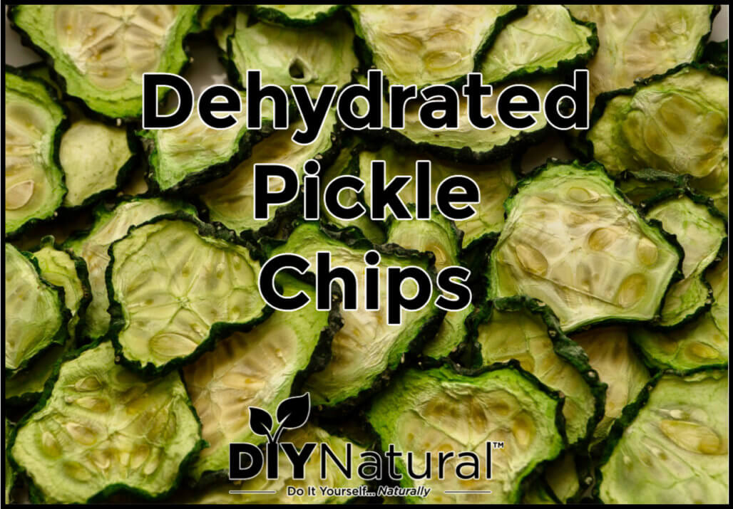 https://diynatural.com/wp-content/uploads/Dehydrated-Pickles-Chips-1028x715.jpg