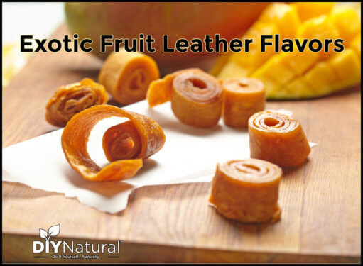 Fruit Leather Flavors
