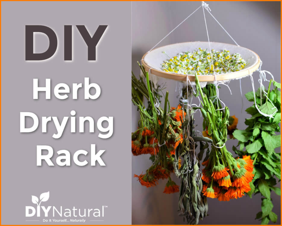 Space Saving Herb Dryer  Herb drying racks, Window herb garden