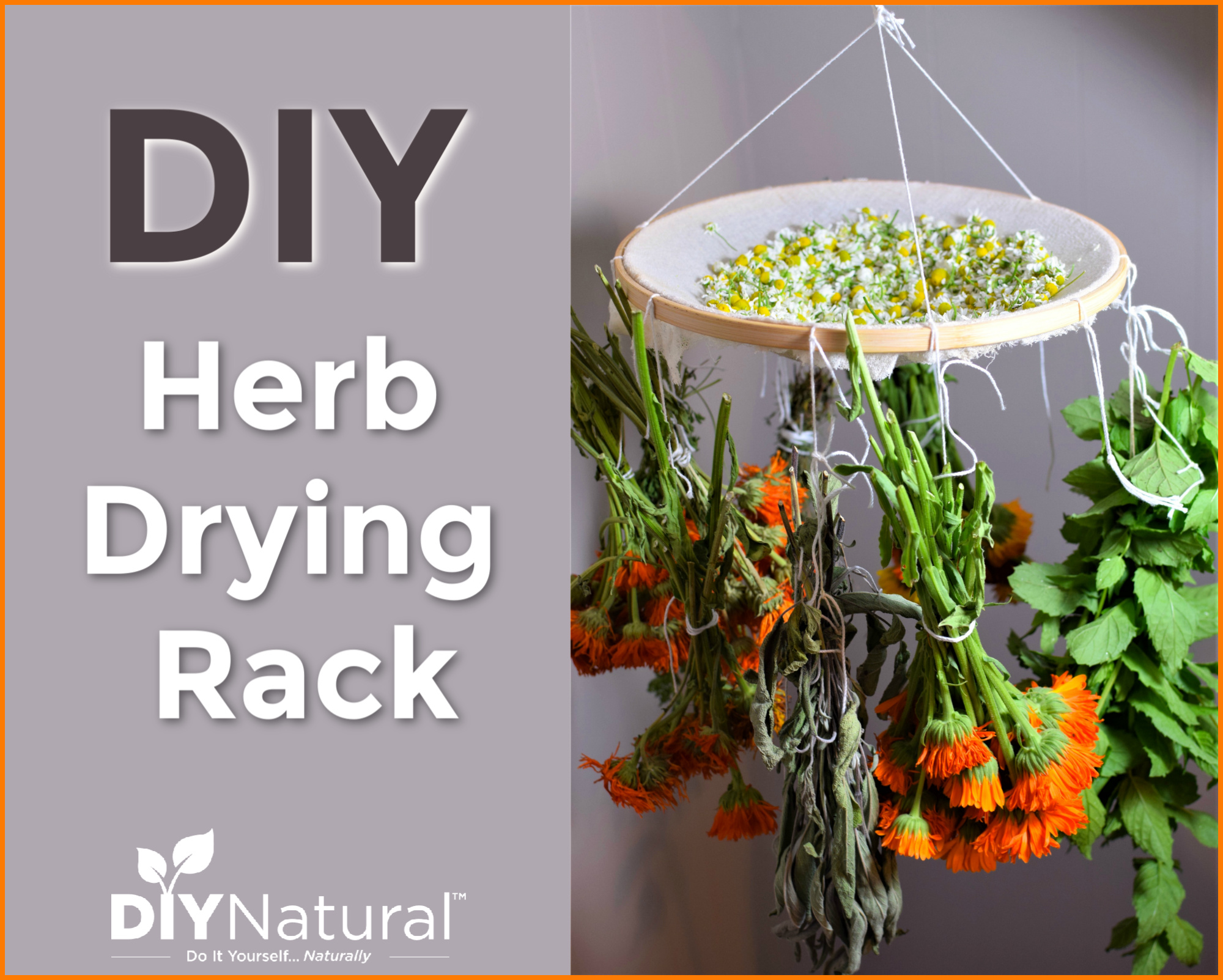 DIY Herb Drying Rack from a Repurposed Picture Frame