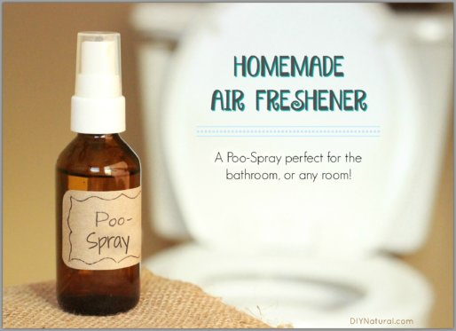 Homemade Air Freshener Poo Spray