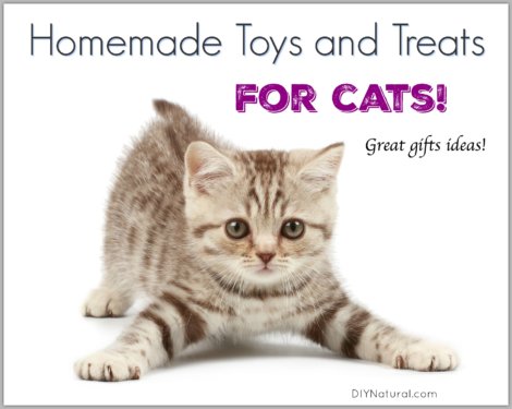 Homemade Cat Toys Treats