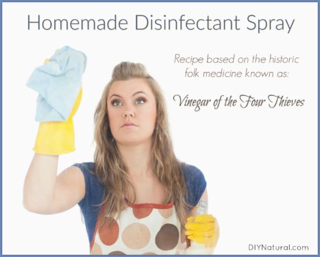 Homemade Disinfectant Spray Four Thieves Vinegar