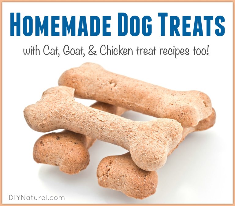 Homemade Dog Treats Cat Treats And More 