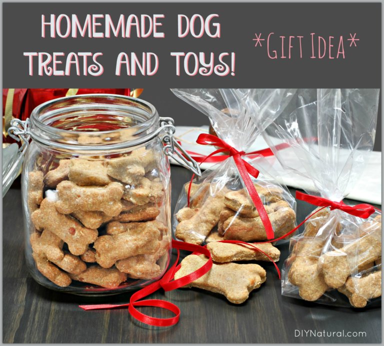 Homemade Dog Treats and Toys Make for Great Gifts