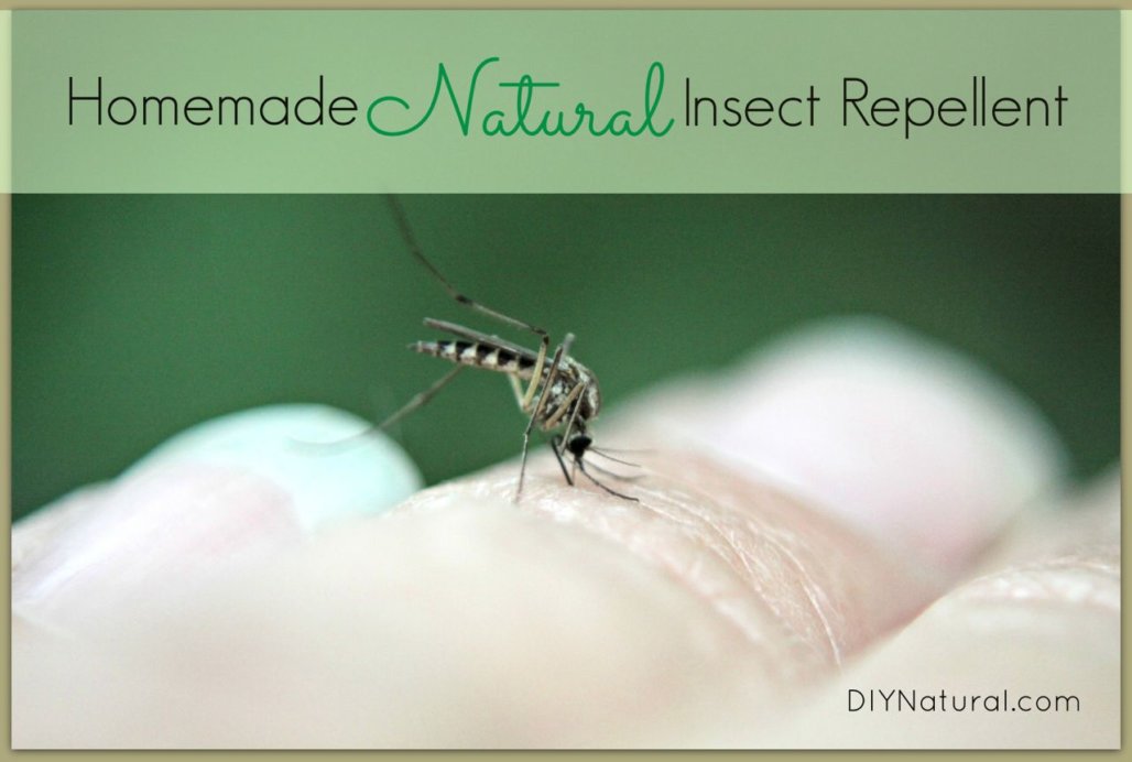 Homemade Mosquito Repellent: A Natural DIY Mosquito & Insect Repellent