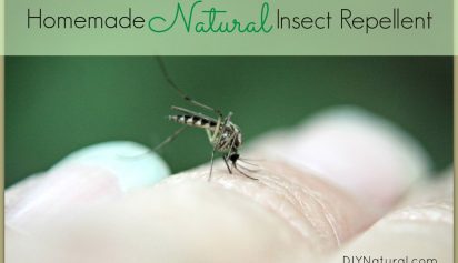 Homemade Mosquito Repellent