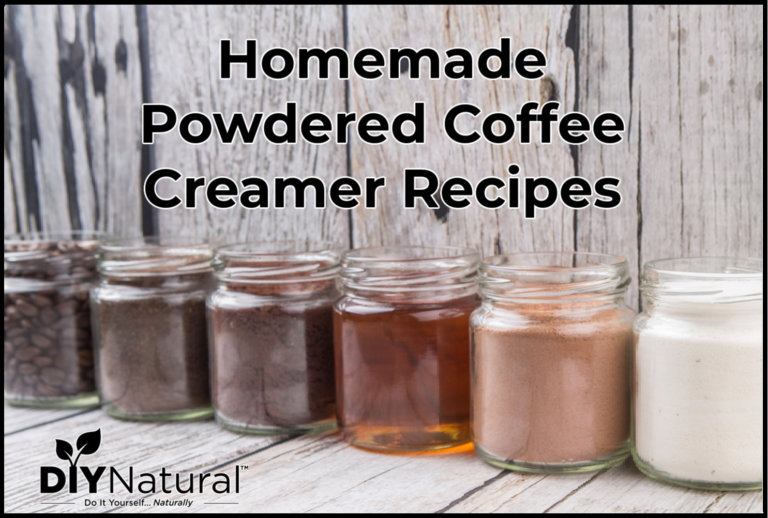Homemade Powdered Coffee Creamer Recipes 13 Great Flavors!