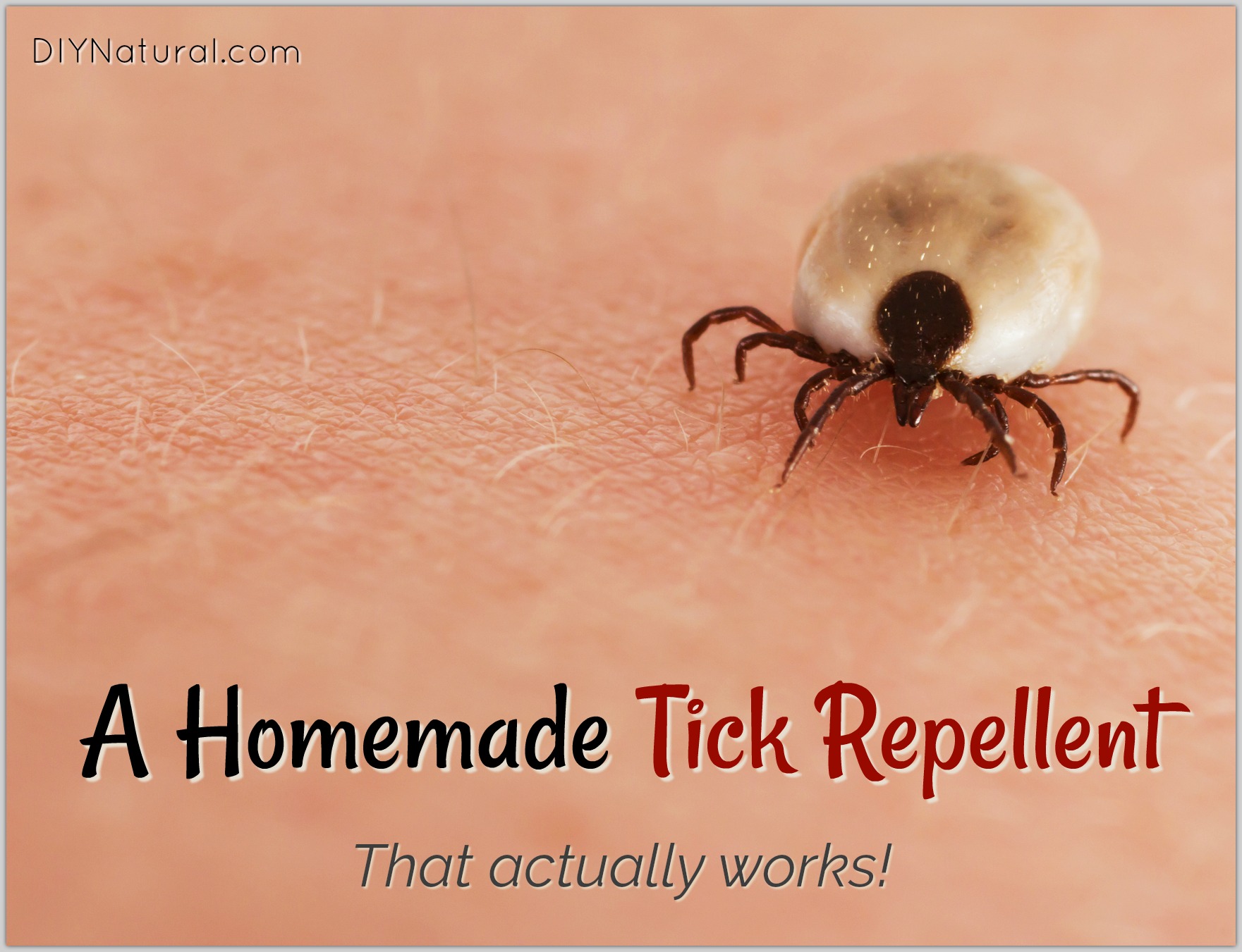 Homemade Tick Repellent: Spray That Works and Is Backed By Research!