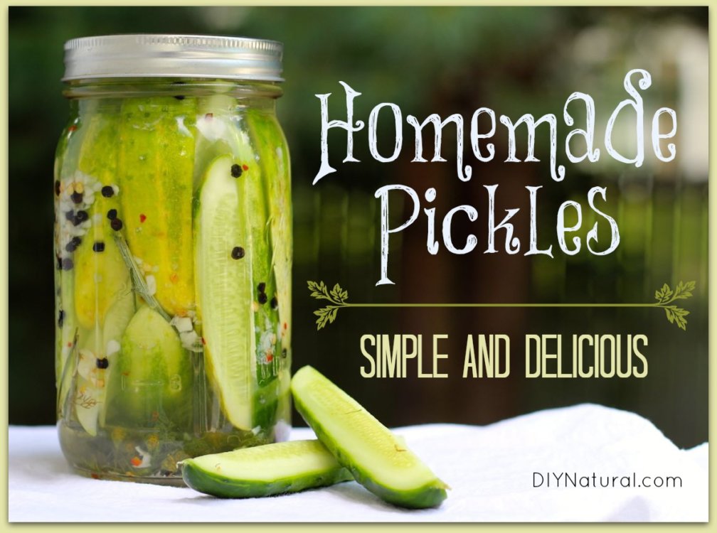 How To Pickle Cucumbers 1008x750 
