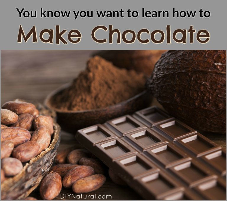 Learning Basic Chocolate How To Make Chocolate: Learn to Make it From Scratch at Home!