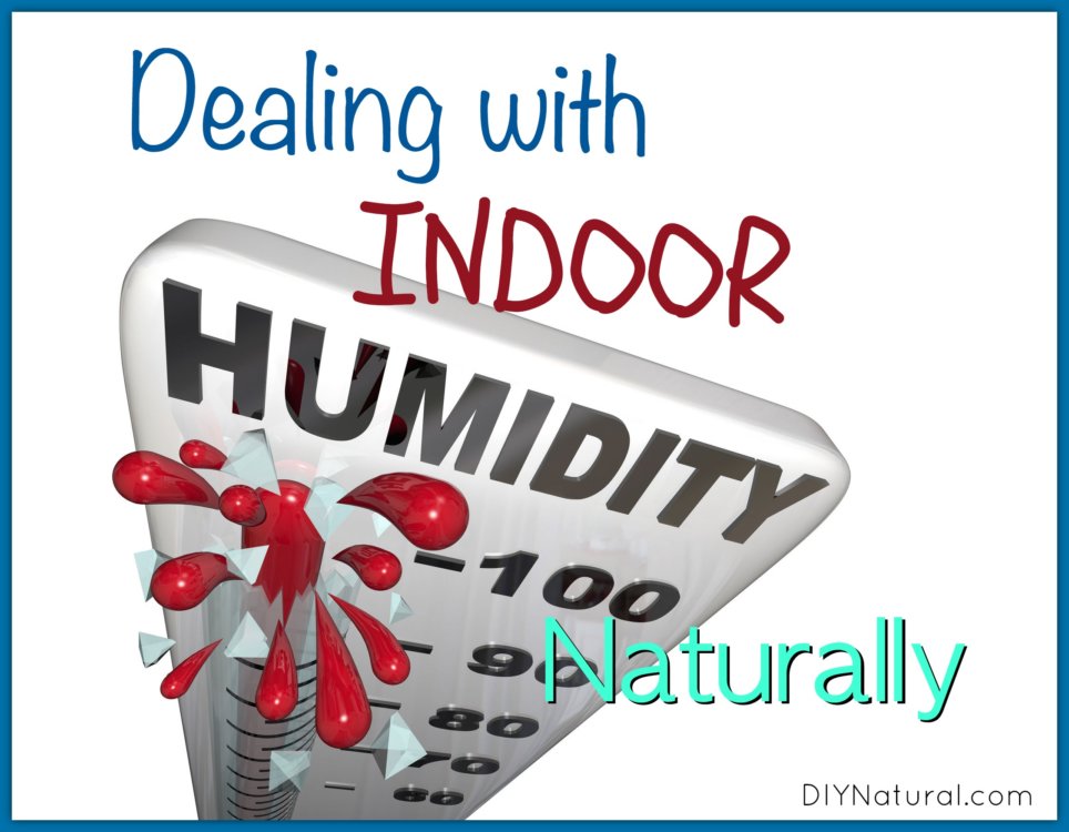 Diy Dehumidifier And Other Ways To Deal With Indoor