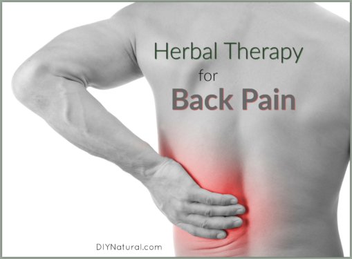 Inflammation Back Pain Herbs Rememdies