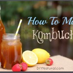 How to Make Kombucha Recipe