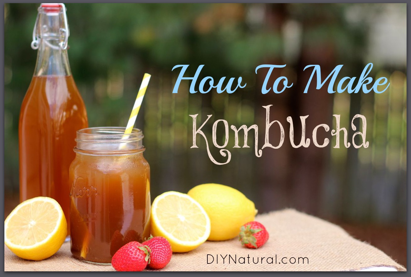 How To Make Kombucha A Recipe