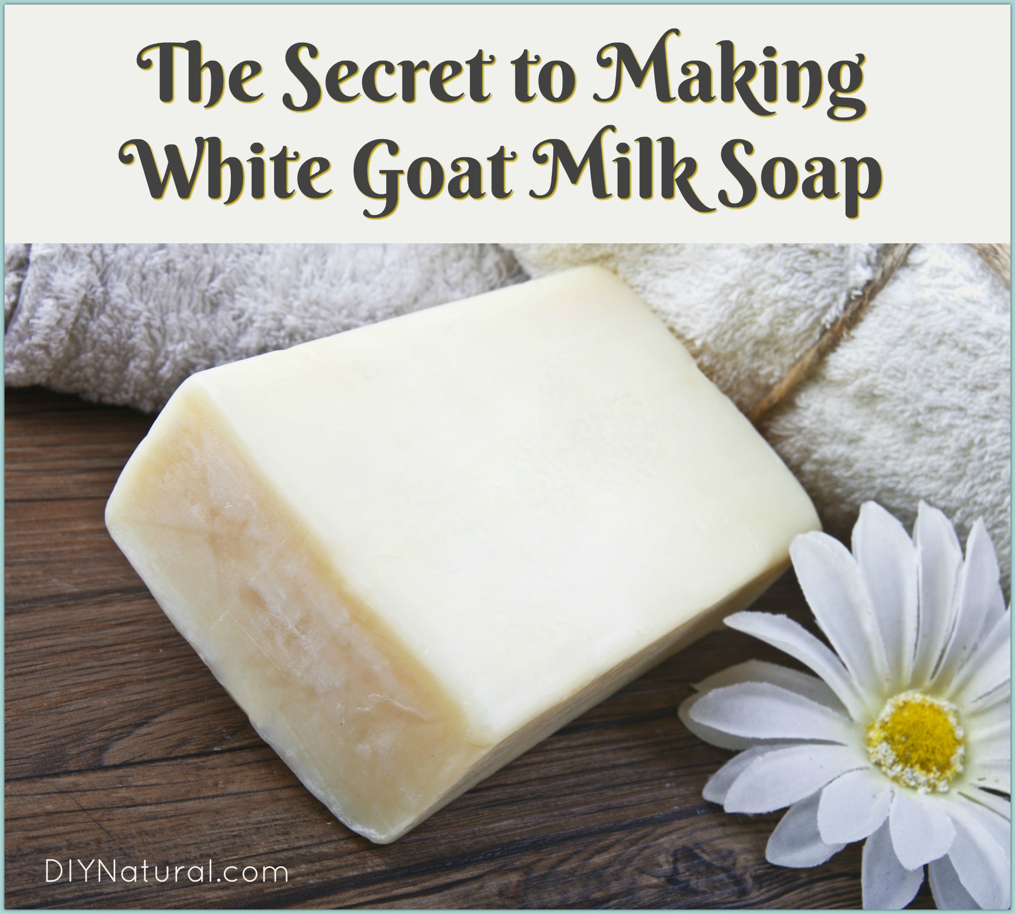 Make Goat Milk Soap White: Secrets to Making It and Keeping It White