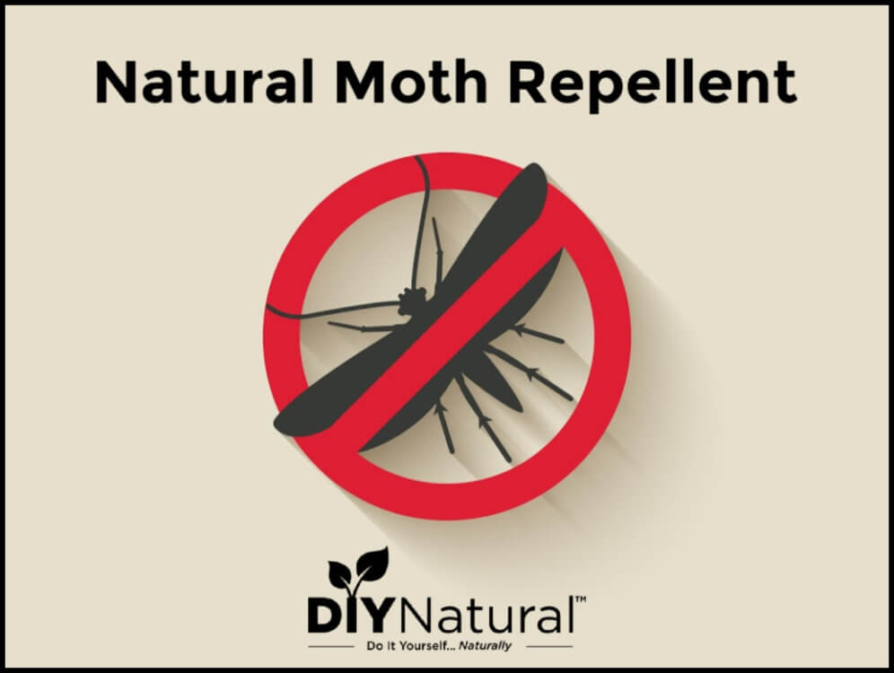 How to make all-natural moth repellent sachets, Most Lovely Things, Recipe