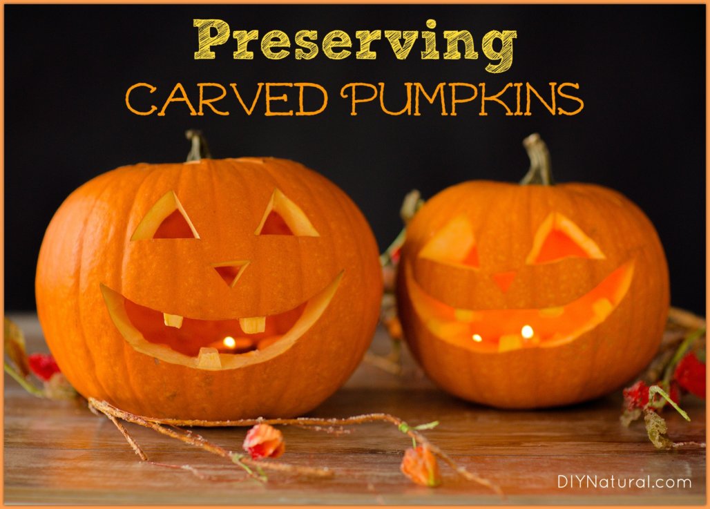 Preserving Carved Pumpkins: Keep Them Naturally Fresher Longer