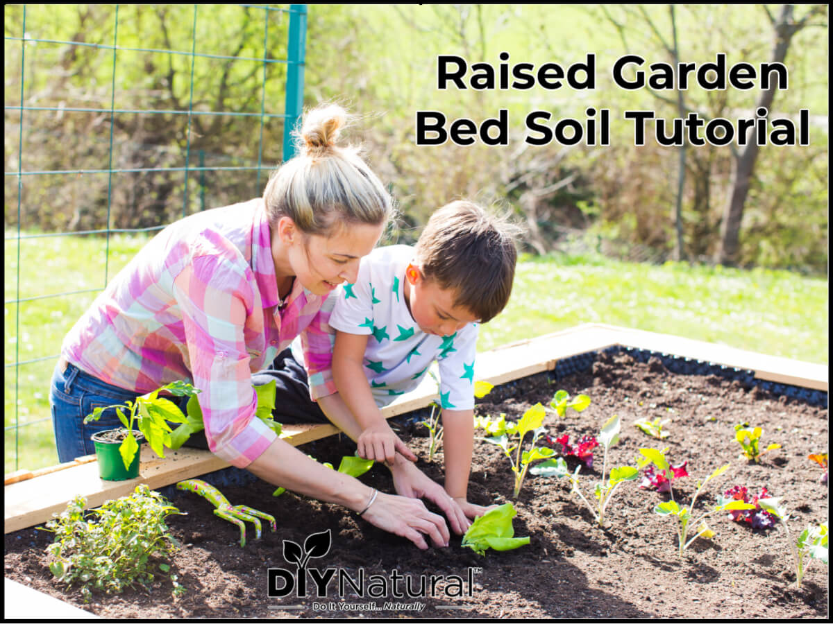 Raised Garden Bed Soil: Create Healthy Natural Soil for Your Raised Beds