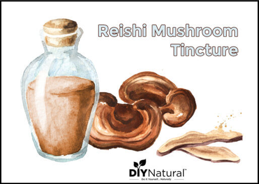 Reishi Mushroom Extract Tincture