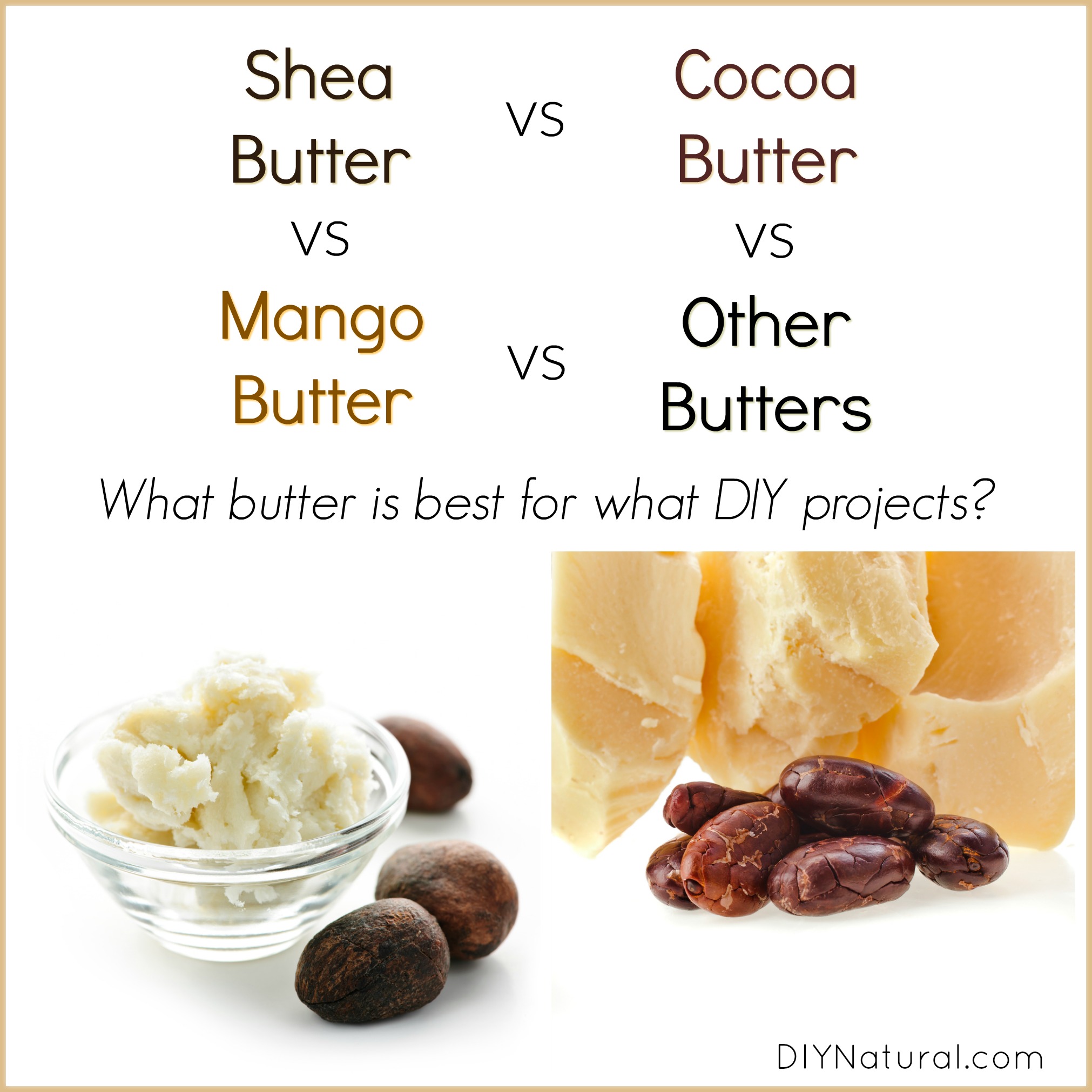 Shea Butter vs Cocoa Butter
