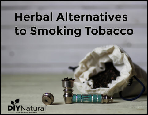 Smoking Alternatives Herbs You Can Smoke