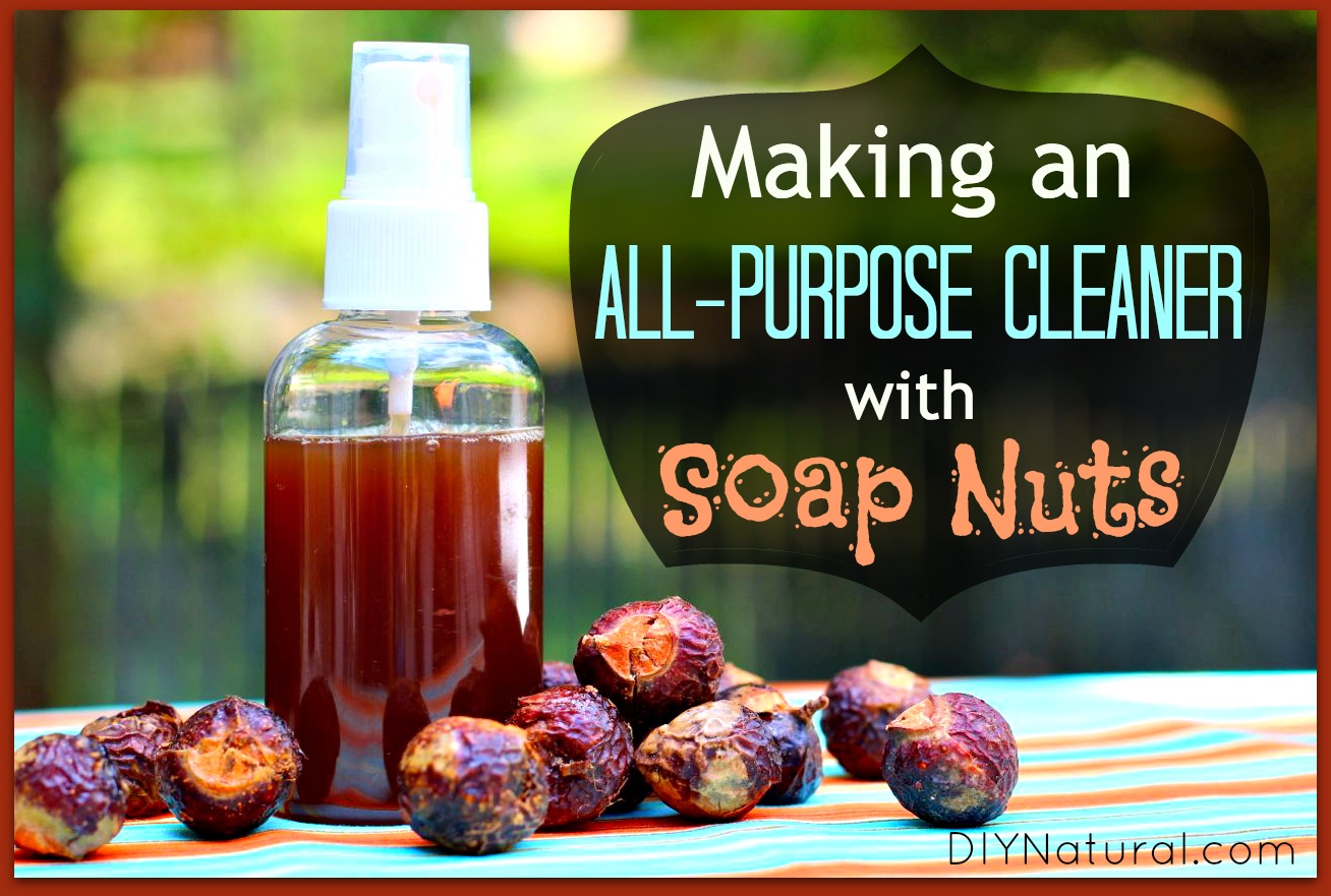 Soap Nuts: Make A Natural Cleaner To Clean Everything In Your Home