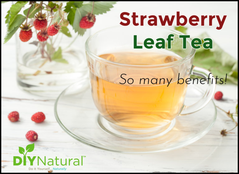 Benefits of Strawberry Leaf and Strawberry Leaf Tea Safe Home DIY
