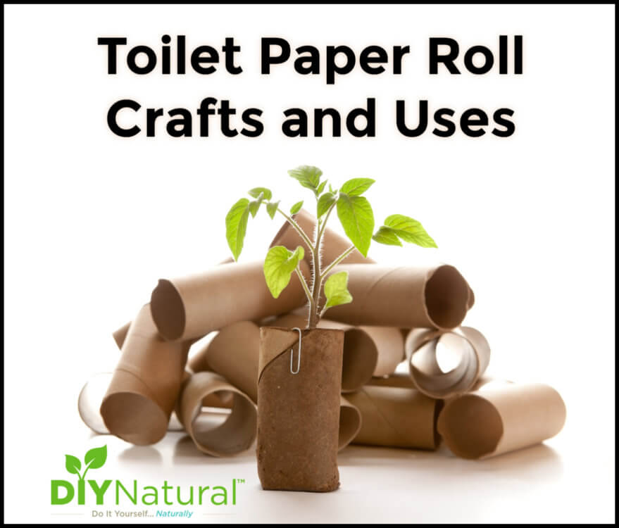 20 Pcs Paper Tube Toilet Paper Rolls Crafts Making DIY Craft Tubes