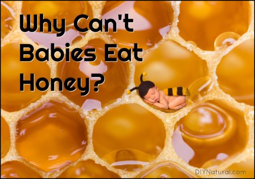Why Can't Babies Eat Honey